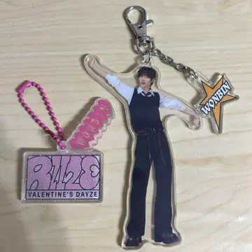 RIIZE RIIZING DAY 원빈 아크링 키링 발렌타인 md