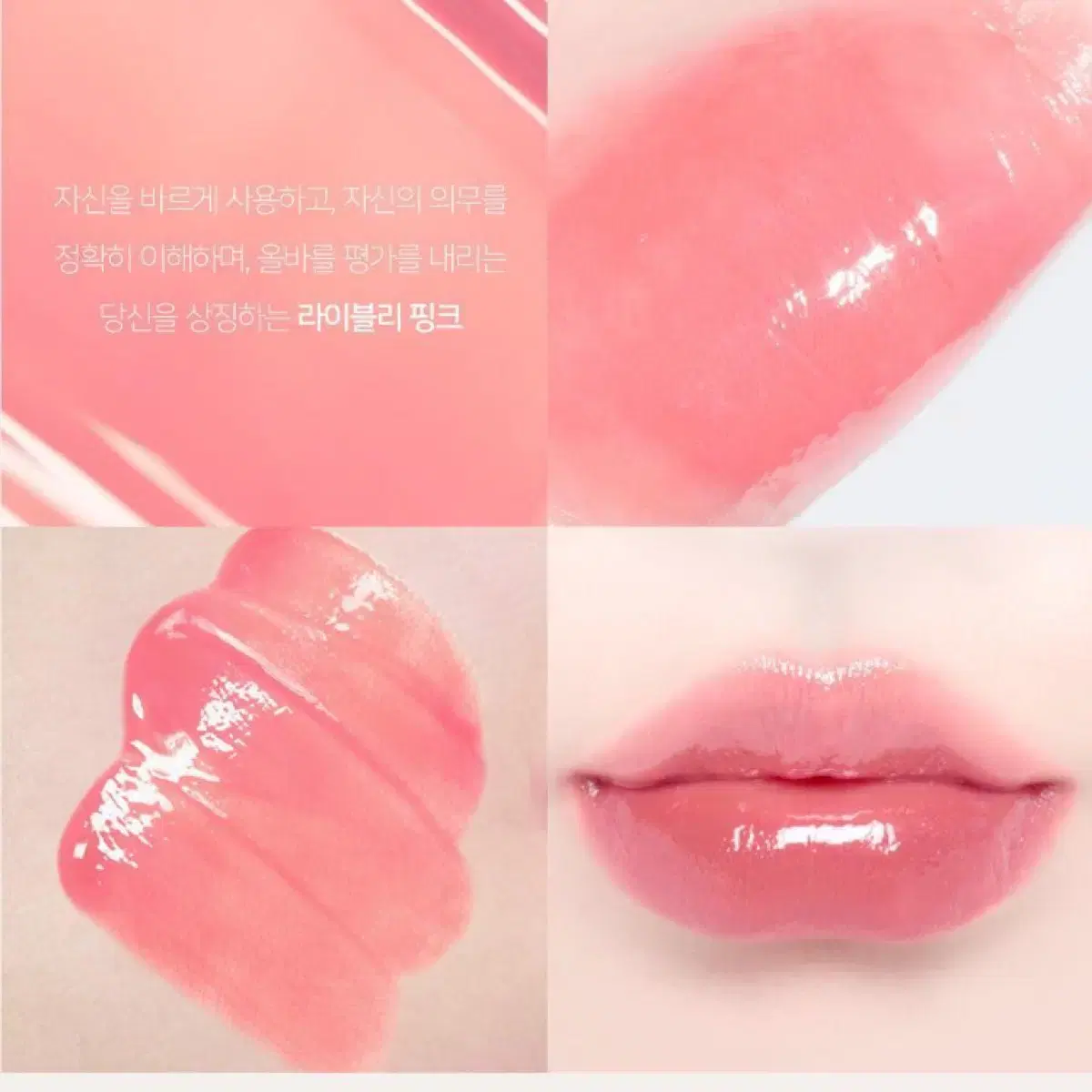딘토 글로이 틴트 유스티티아 새상품