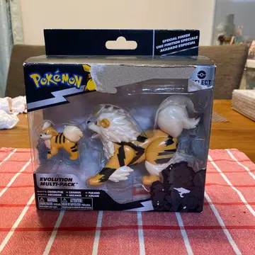 포켓몬 에볼루션 멀티 팩(미국 구매)