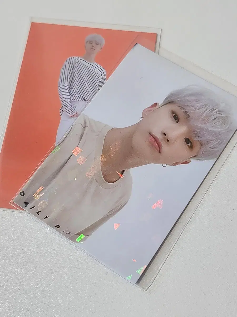 2021 캐럿랜드 트레카 호시 일괄