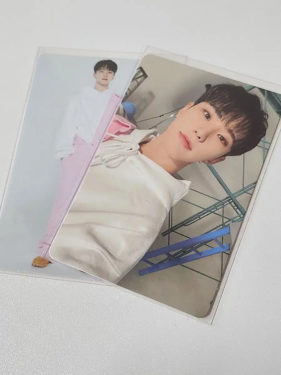 세븐틴 2023 캐럿랜드 트레카 호시 일괄