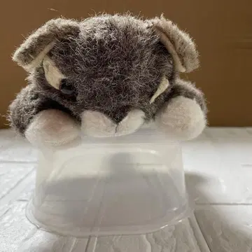 와치필드 고양이 다얀 봉제 인형