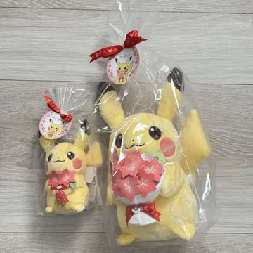 포켓몬 봉제 인형 For You! 피카츄와 글라시디아 꽃 부케