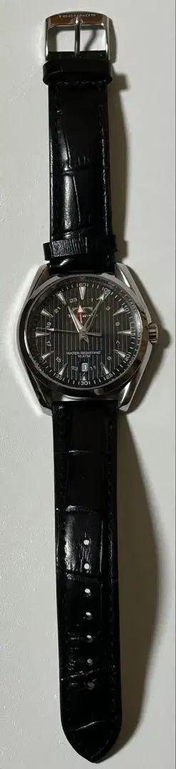 손목시계 테크노스 t2465