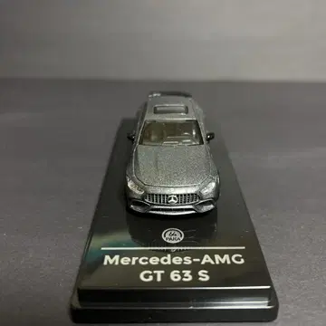 1/64 Mercedes-AMG GT 63 PARA 64 건메탈