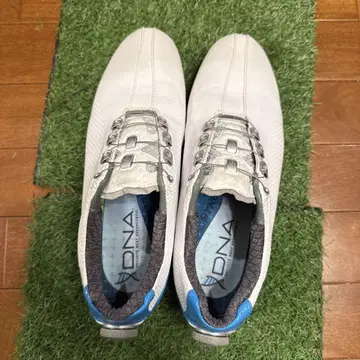 풋조이 DNA BOA 소프트 스파이크 25cm