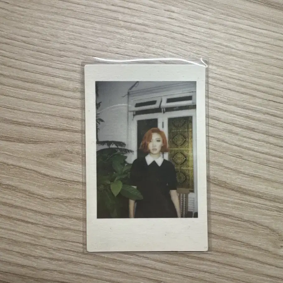 마마무 화사 포카