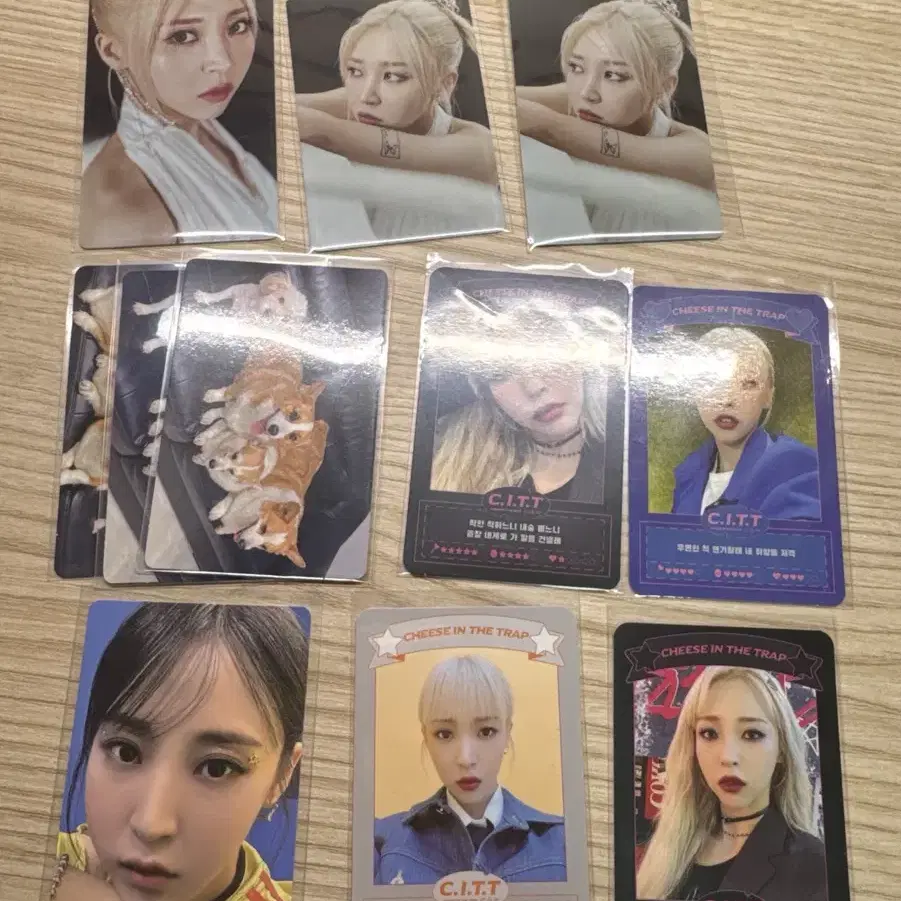 마마무 문별 포카