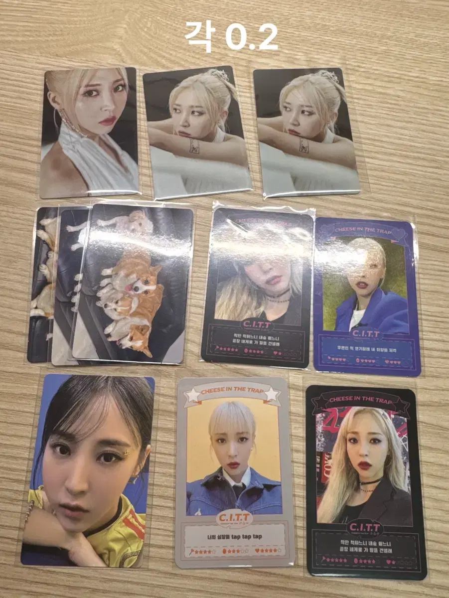 마마무 문별 포카