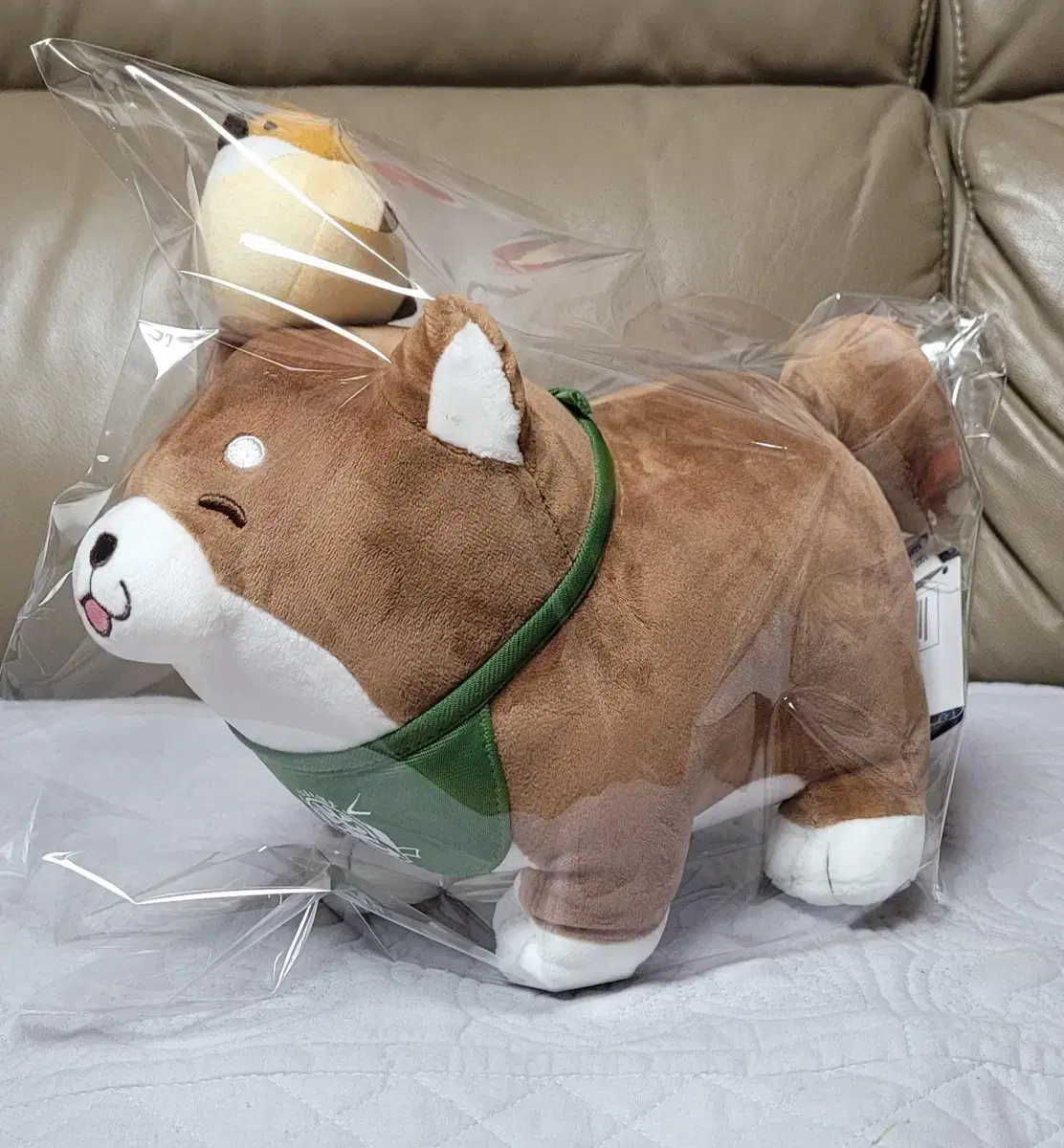 일본 시바견 중형인형