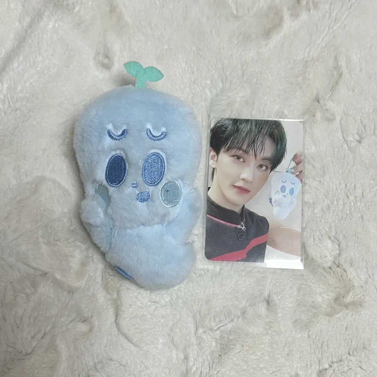 엔시티드림 마크 부훙이 인형 양도 런쥔 제노 해찬 재민 천러 지성