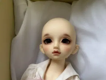 보크스 SDM 스탠다드 아