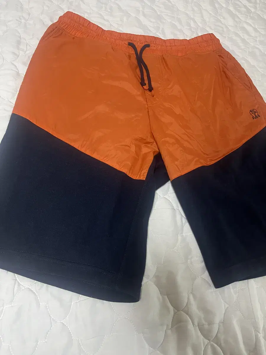 Brunello Cucinelli Colorblocked Shorts