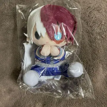 히로아카 피타누이 토도로키 쇼토