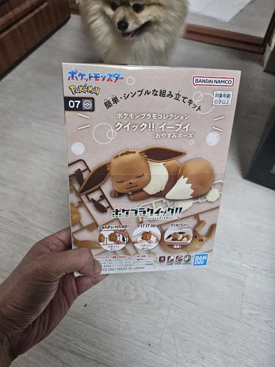 포켓몬 이브이 피규어 팝니다