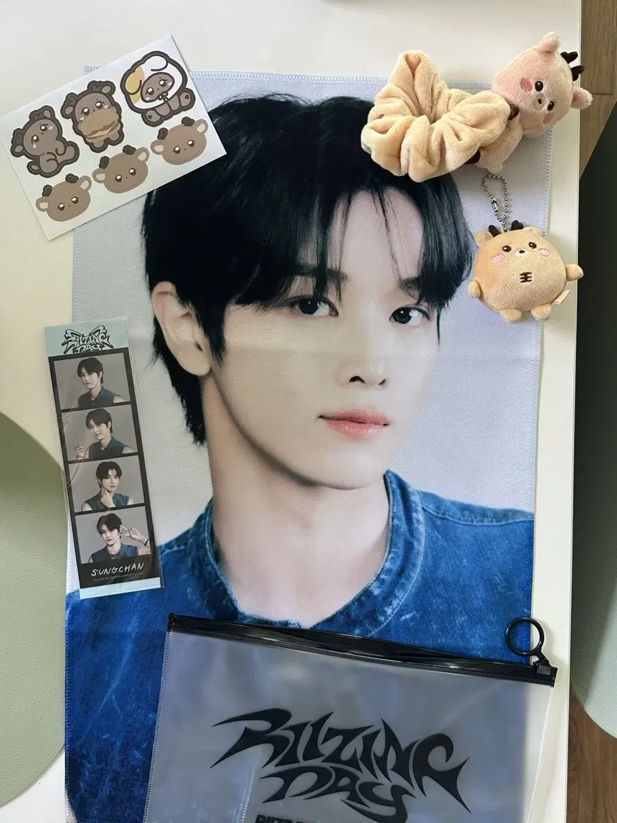 라이즈 성찬 슬로건 우락밤 스크런치 미니밤 정밤비 성찬 인생네컷 일괄