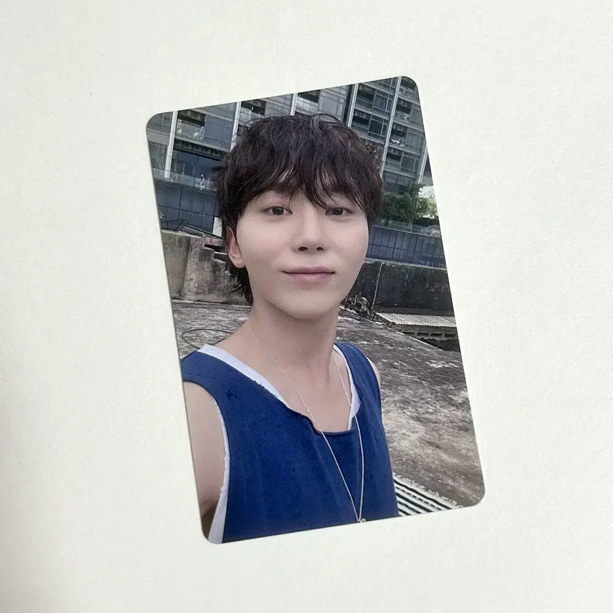 세븐틴 승관 회장한정 라잇히어 도쿄돔 스필더필스 포토카드 포카 스필더