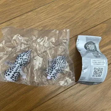 생물대도감 생물대도감 레프티
