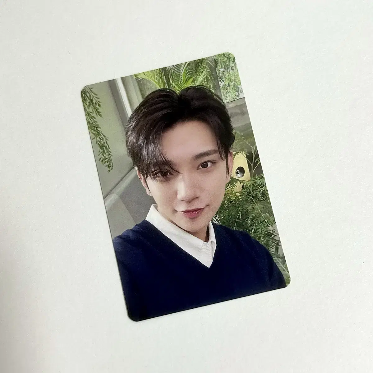 세븐틴 조슈아 소비기한 스탠다드버전 일반반 포토카드 포카