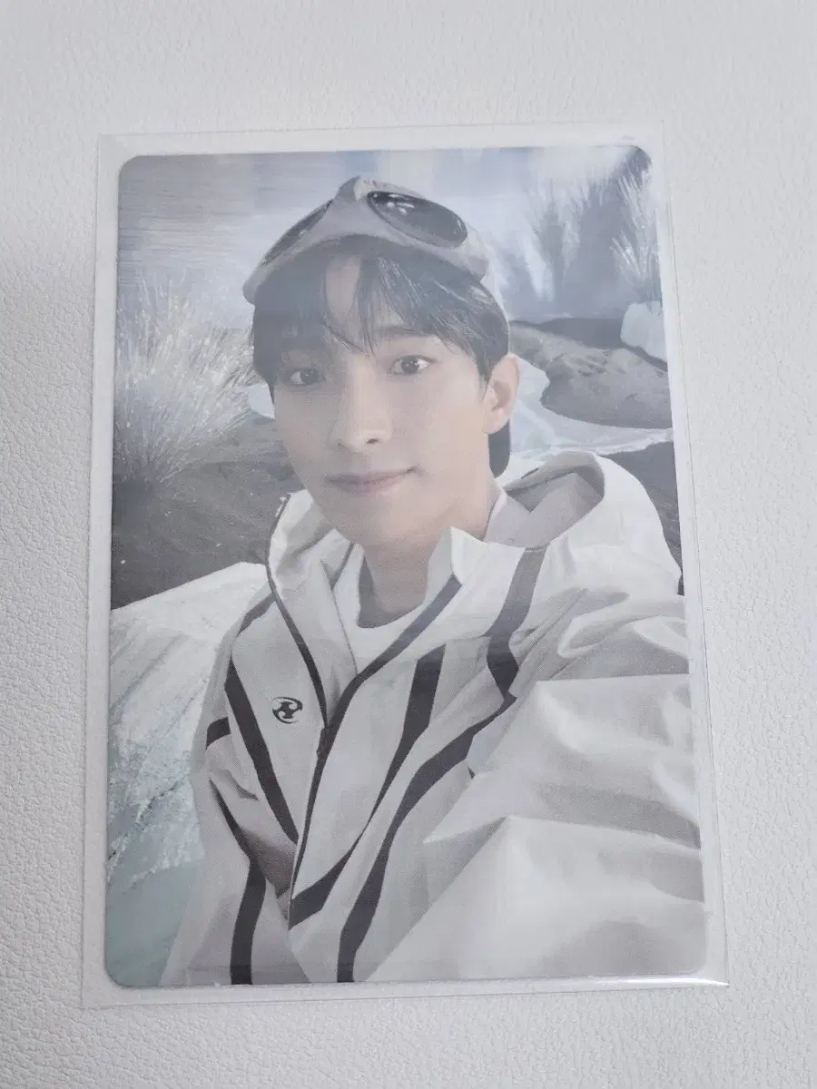 세븐틴 섹터17 도겸 포카 포토카드