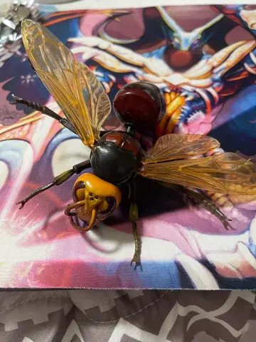 생물대도감 어드밴스 말벌 큰말벌