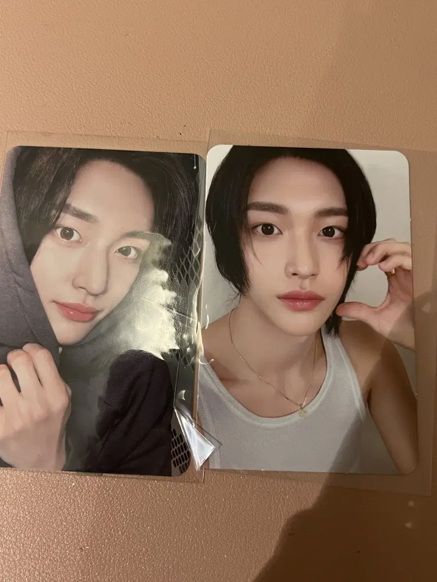 라이즈 원빈 포카