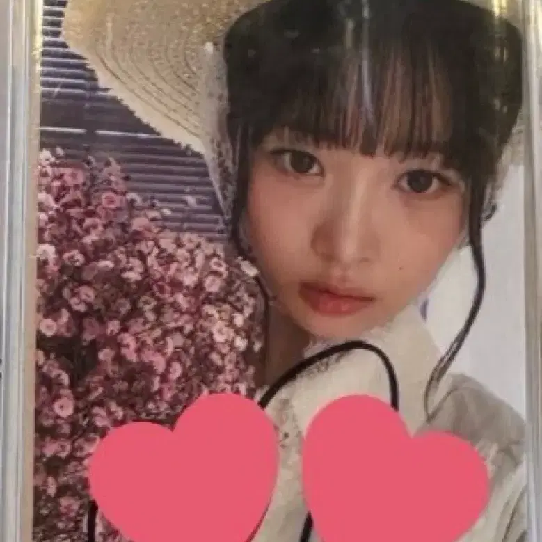 IVE | 아이브 ive soundwave sign poca sign photocard lay