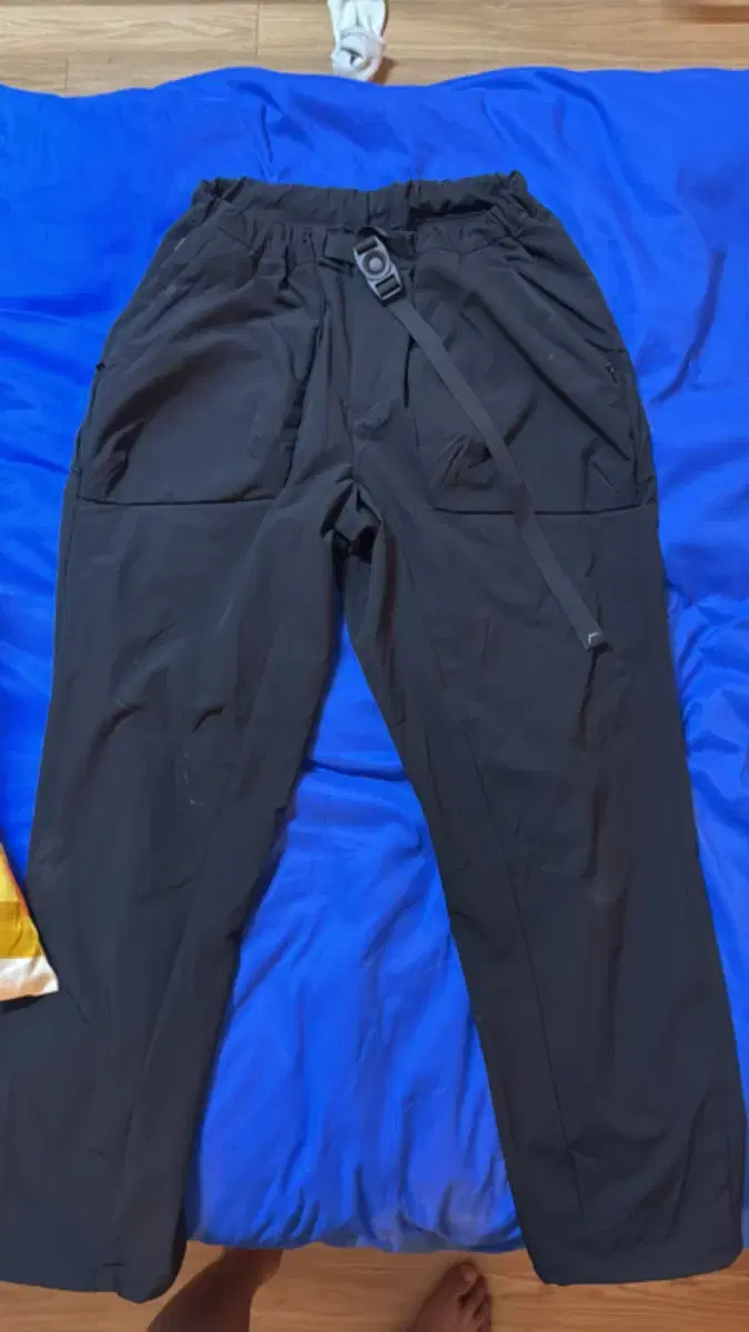 Kale) Cayl Bulky pocket pants (L)