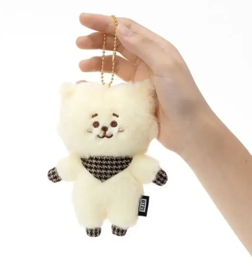 BTS 라인프렌즈 일본한정 BT21 알제이 RJ