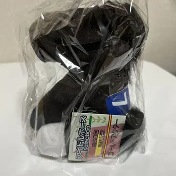 골드 액터 아이돌 호스