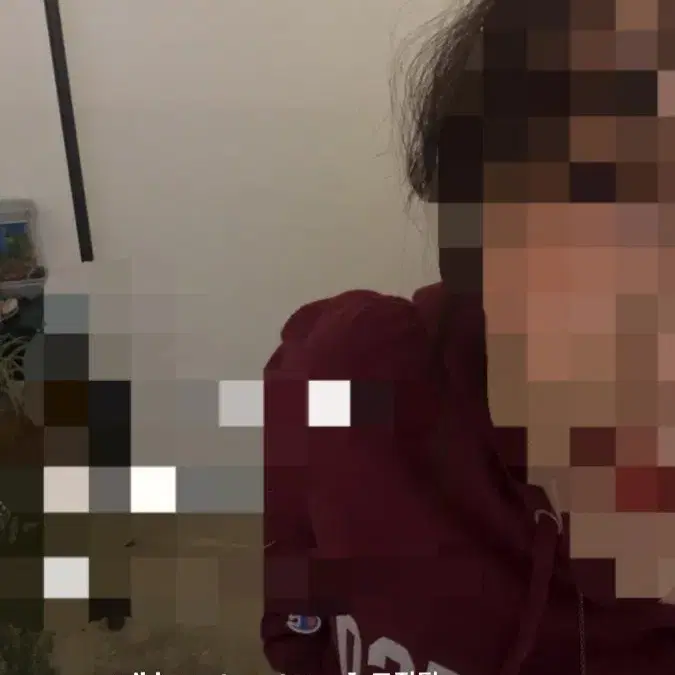마일드컨트리 챔피온 버건디 후드티