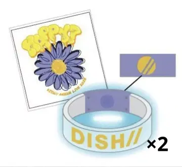 DISH// HAPPY? 라이트 뱅글 2개 세트