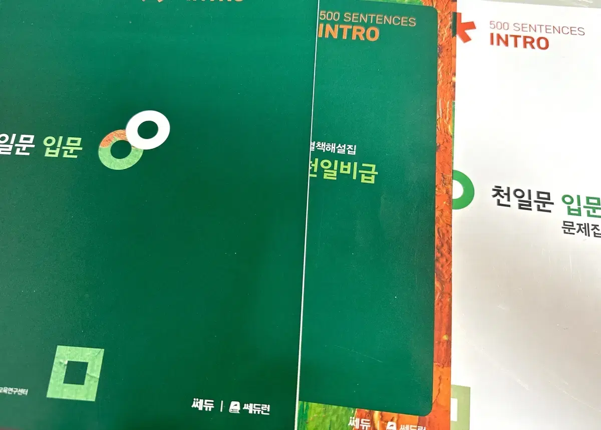 천일문 입문 문제집