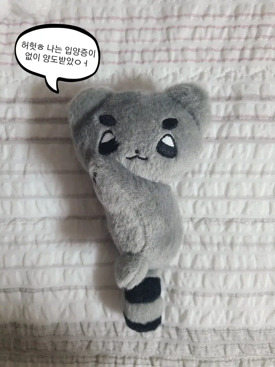 Seventeen Jongmochi, Po-yeot (Ppangppangjujut O), Heart Sol (full set of adoption clothes), Coops doll