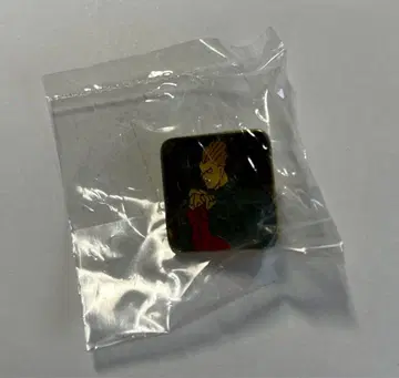 캡콤 뱀파이어 헌터 데미트리 핀 배지