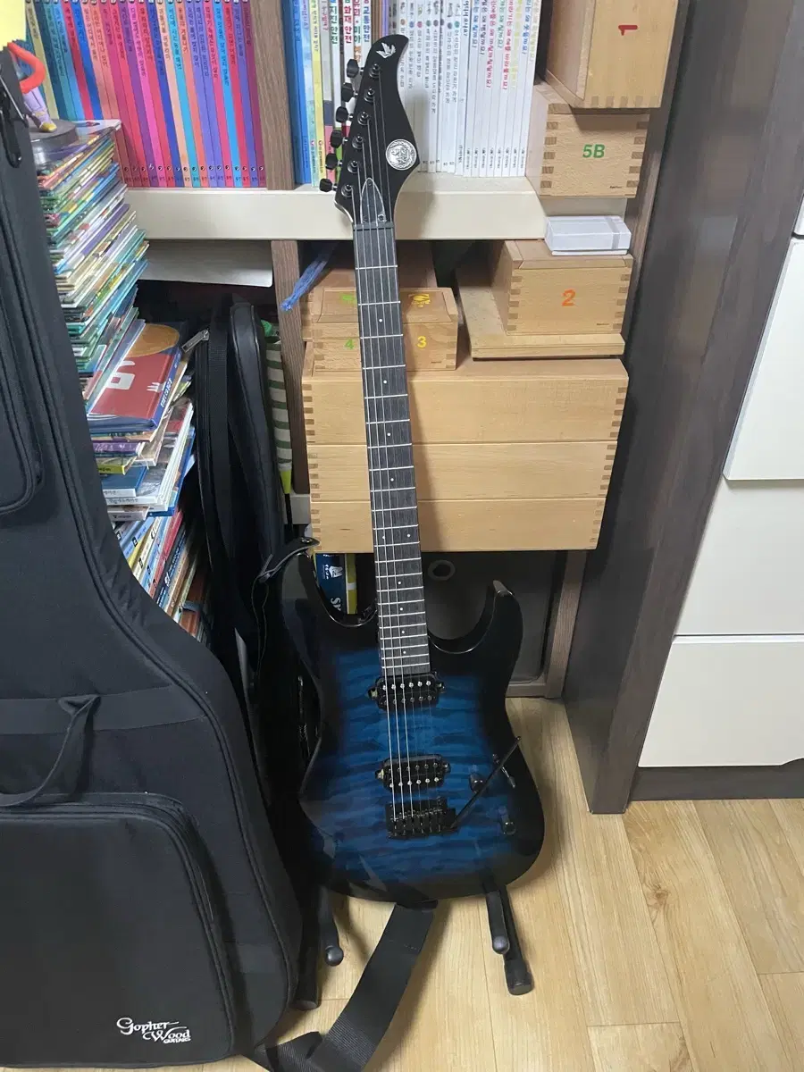 Gopherwood Electric Guitar