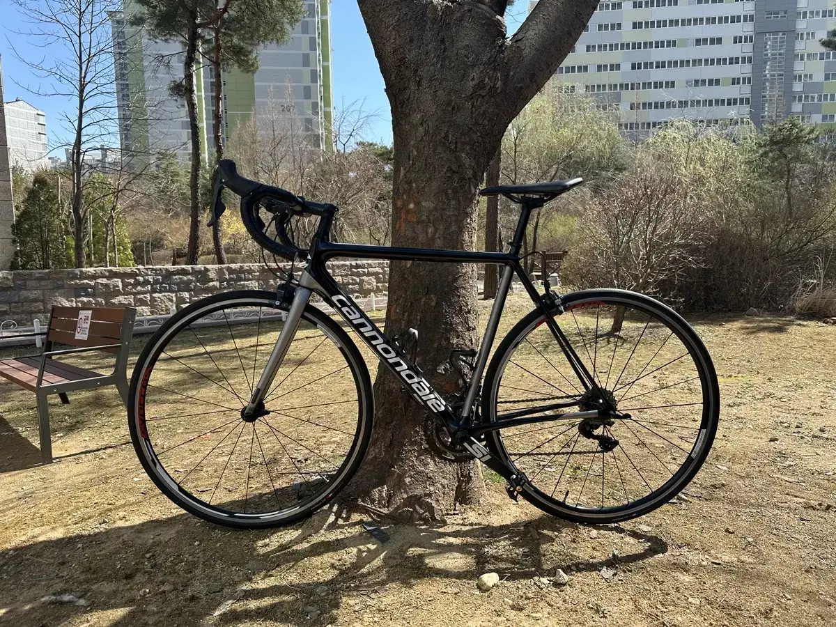 캐논데일 슈퍼식스에보 울테그라 R8000 2018