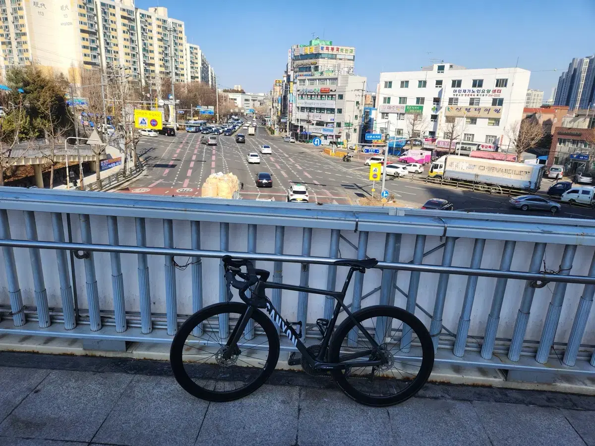 첼로 케인 d7