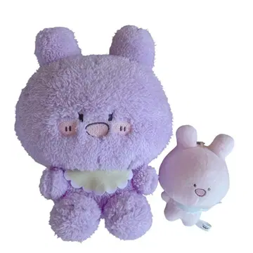 아사미미 봉제 인형 세트