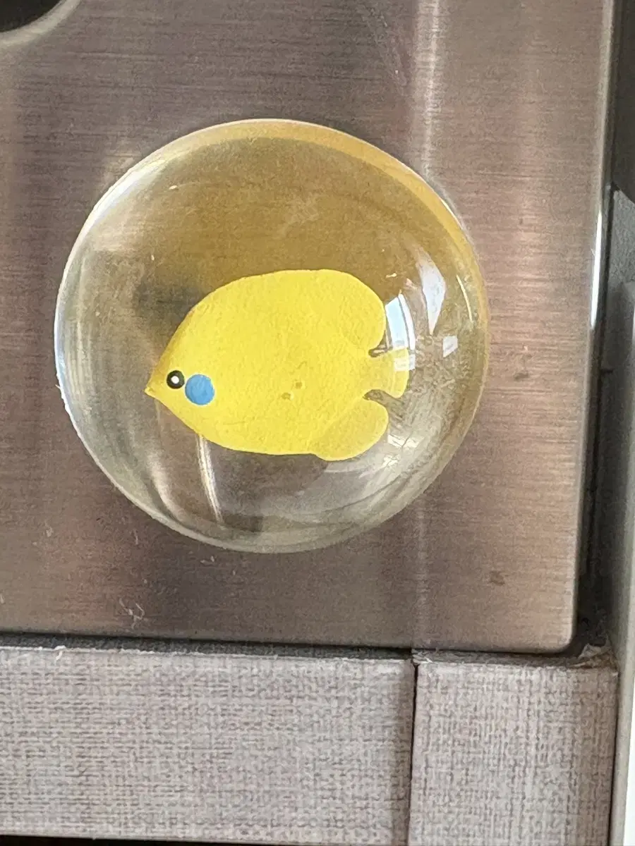 Baek Yerin Fish Magnet