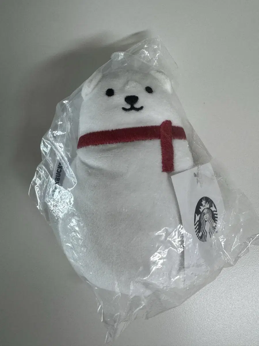 스타벅스 파우치