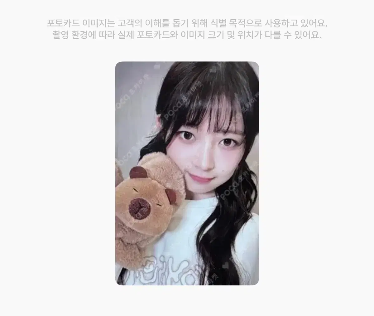아이브 레이 이즈위 카피바라 포카 판매