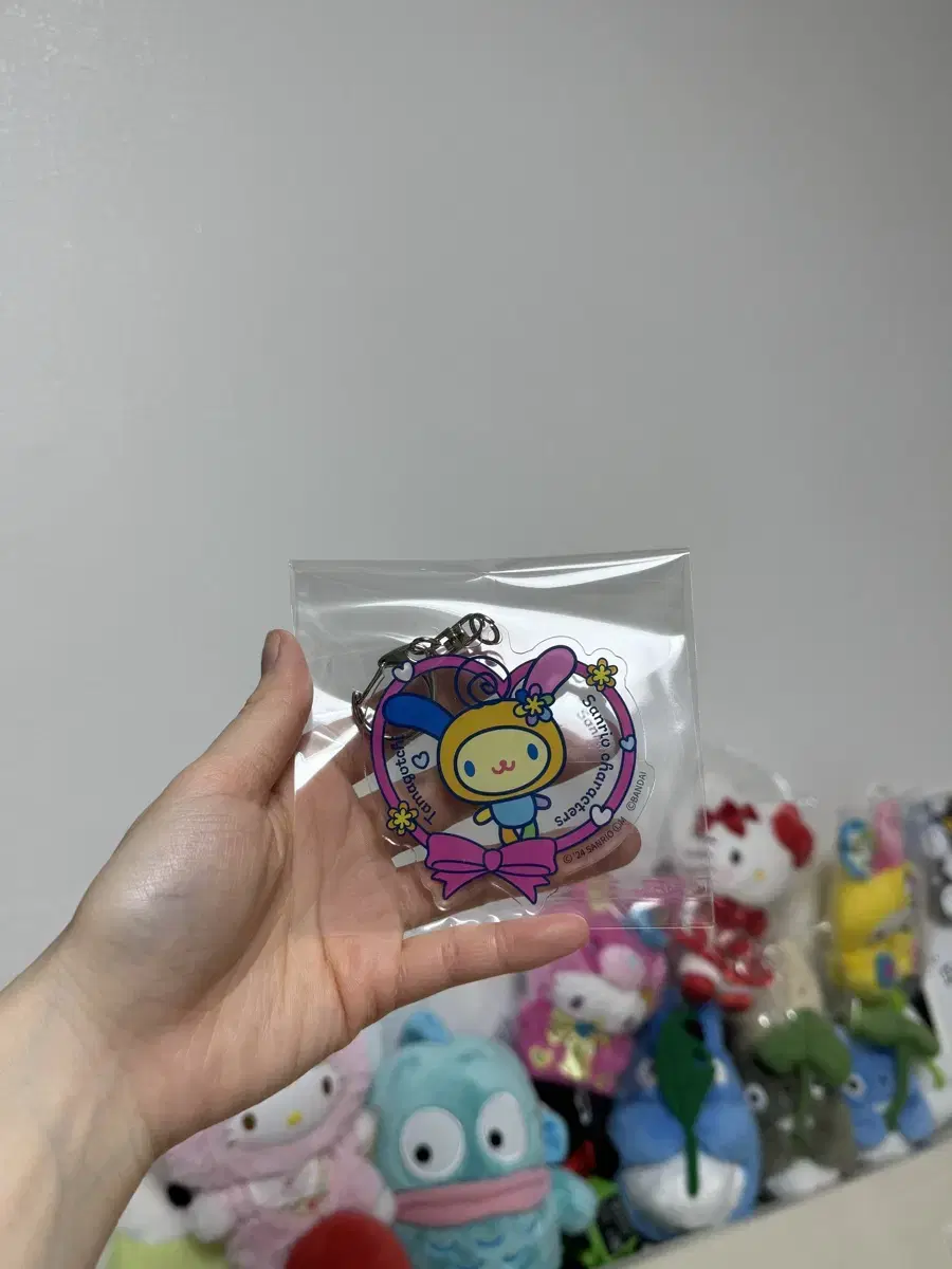 우사하나 키링