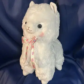 알파카소 플라워 리본 울트라 빅 봉제 인형 미사용 새상품 시로짱