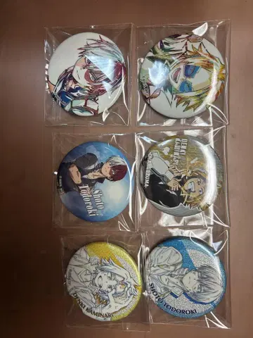 히로아카 토도로키 쇼토 가미나리 덴키 호크스 배틀 완료 캔뱃지