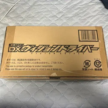 DX 비전 드라이버
