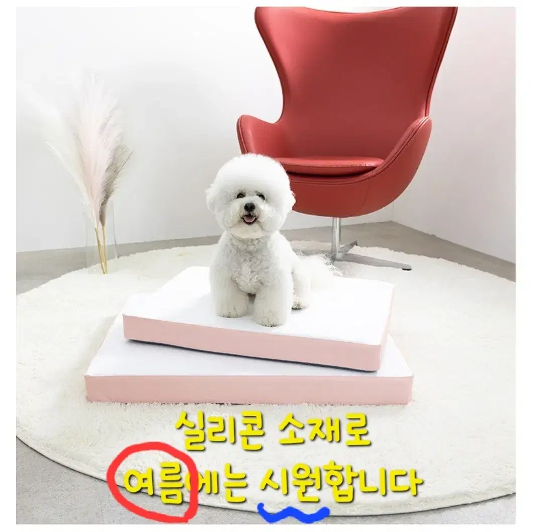 슬개골탈구 매트리스 강아지 고양이 침대 방석 쿠션
