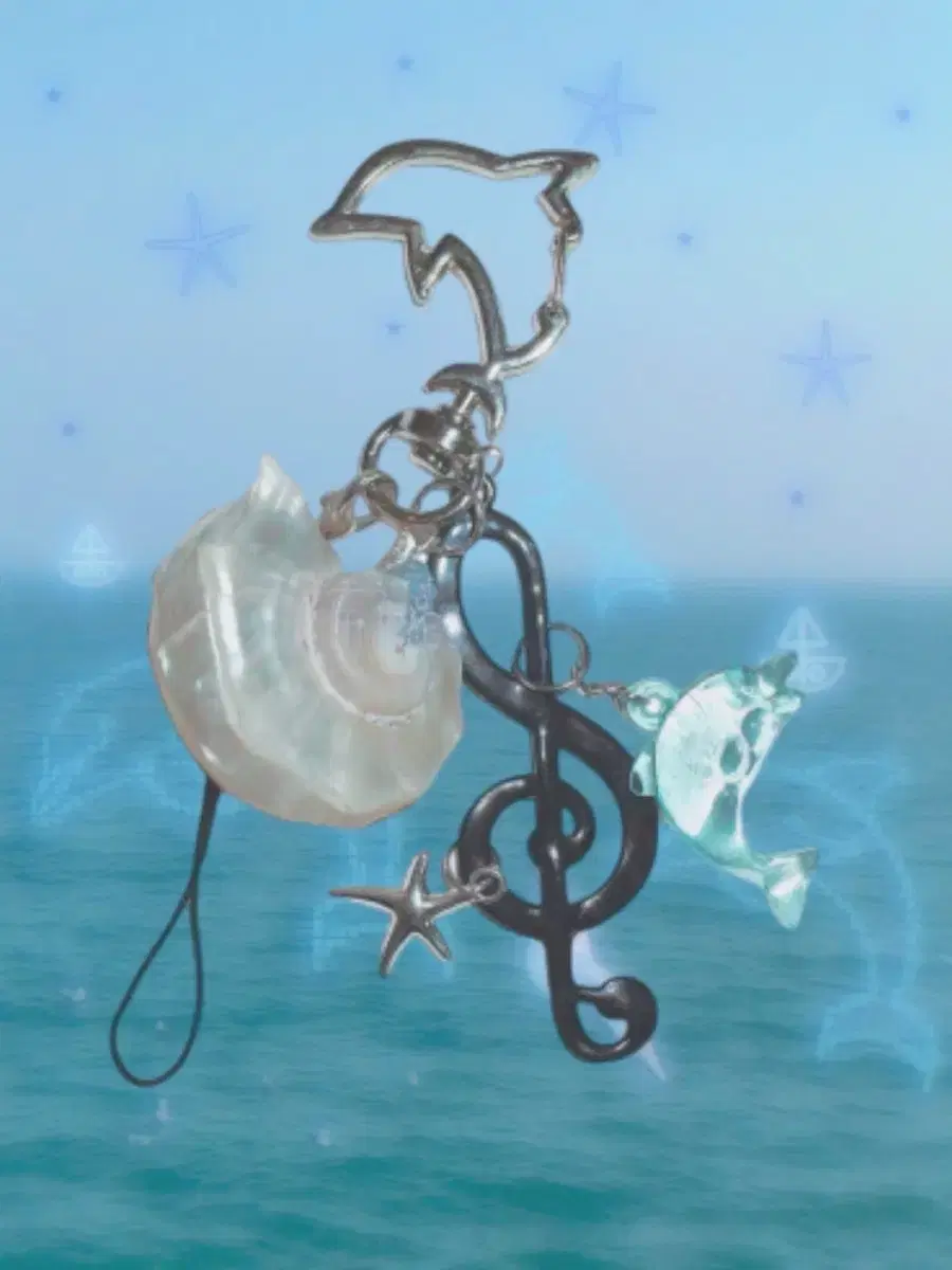 sora, Dolphin Keyring