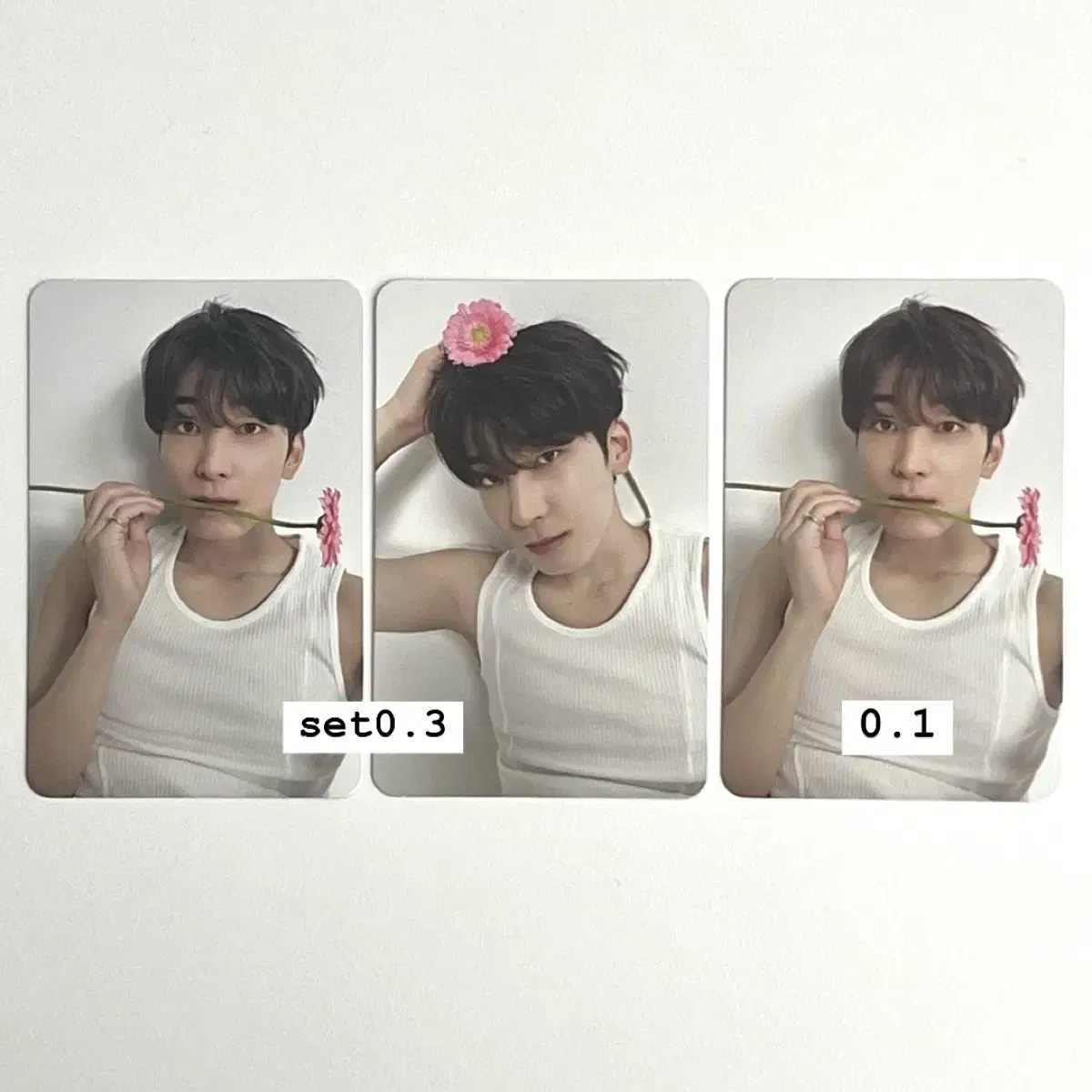 세븐틴 원우 디어 캐럿반 포카