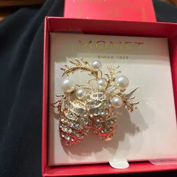 모네 브로치 도토리